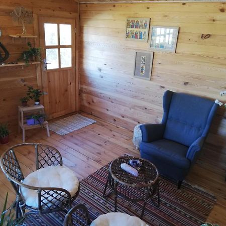 Chalet Boreal Pujaudran Экстерьер фото